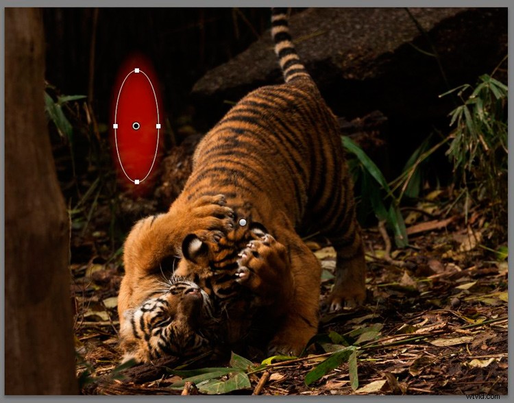 Master Lightroom s Radial Filter: The Ultimate Secret Weapon for Pro Edits