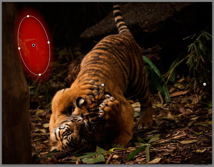 Master Lightroom s Radial Filter: The Ultimate Secret Weapon for Pro Edits