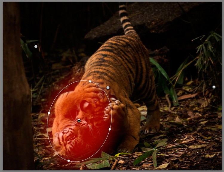 Master Lightroom s Radial Filter: The Ultimate Secret Weapon for Pro Edits