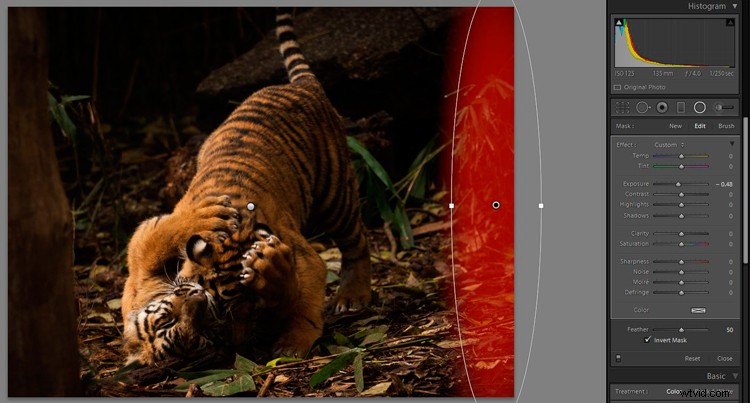Master Lightroom s Radial Filter: The Ultimate Secret Weapon for Pro Edits