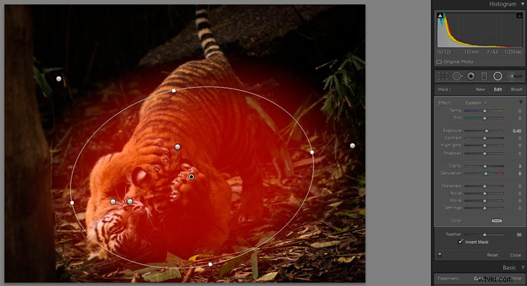 Master Lightroom s Radial Filter: The Ultimate Secret Weapon for Pro Edits