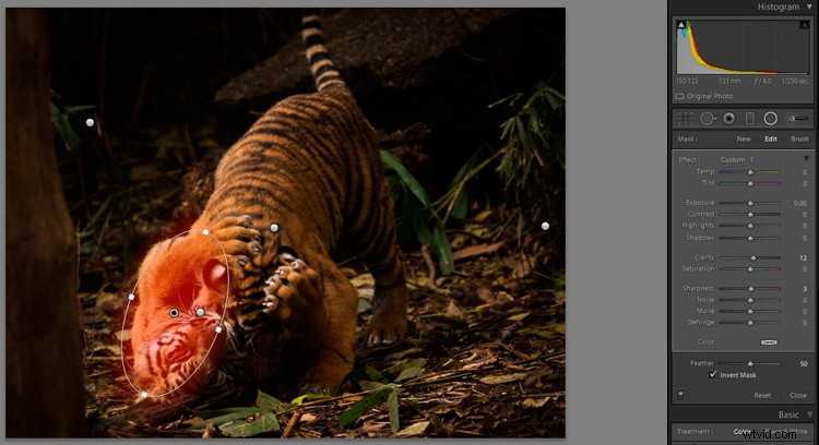 Master Lightroom s Radial Filter: The Ultimate Secret Weapon for Pro Edits