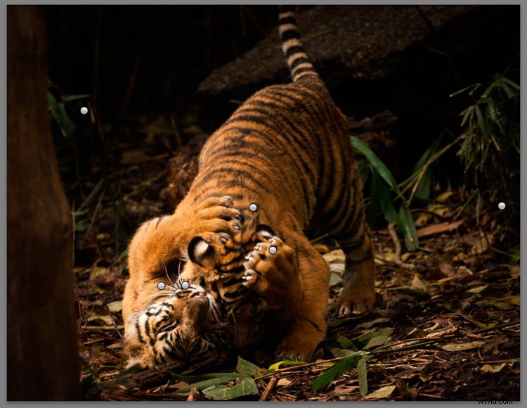 Master Lightroom s Radial Filter: The Ultimate Secret Weapon for Pro Edits