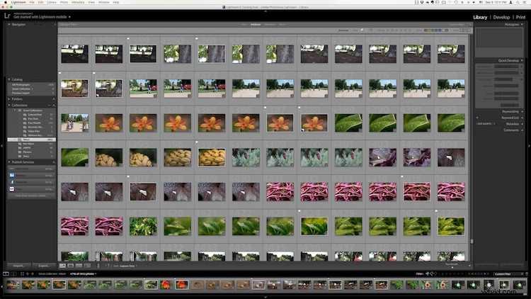 Master Lightroom: 4 Essential Elements of the Library Module