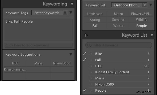 Master Lightroom: 4 Essential Elements of the Library Module