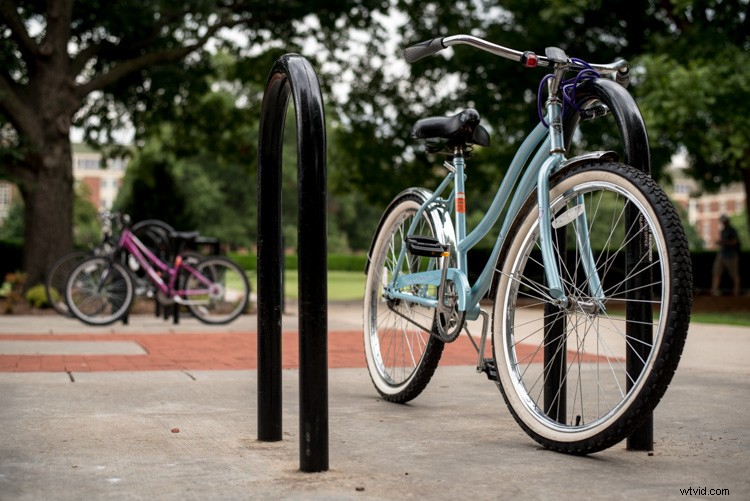 Master Lightroom: 4 Essential Elements of the Library Module