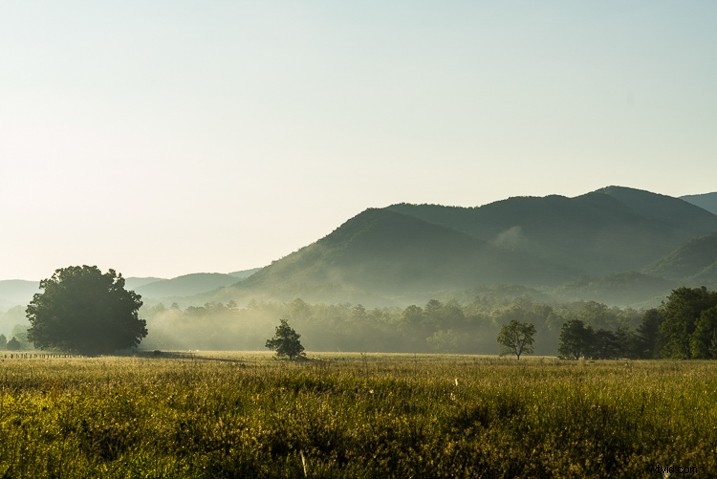 Ultimate Guide: How to Save, Stack, and Use Lightroom Presets Like a Pro