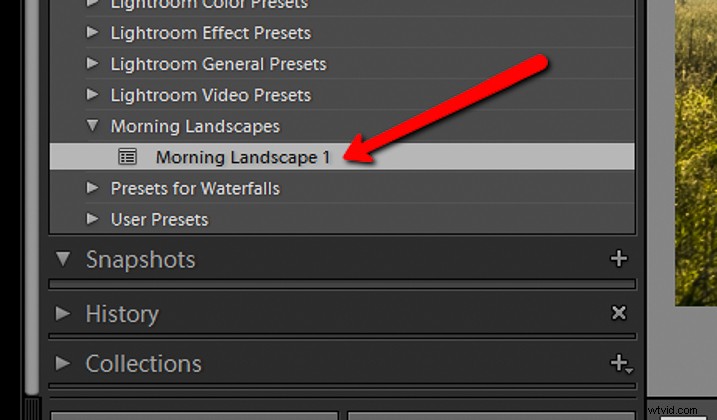 Ultimate Guide: How to Save, Stack, and Use Lightroom Presets Like a Pro