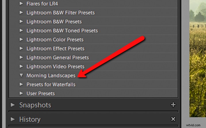 Ultimate Guide: How to Save, Stack, and Use Lightroom Presets Like a Pro
