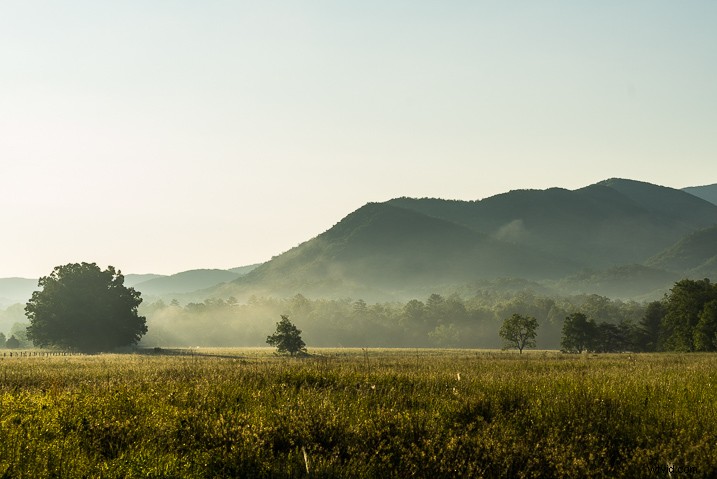 Ultimate Guide: How to Save, Stack, and Use Lightroom Presets Like a Pro