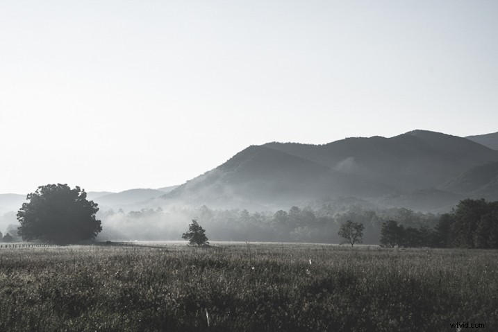 Ultimate Guide: How to Save, Stack, and Use Lightroom Presets Like a Pro