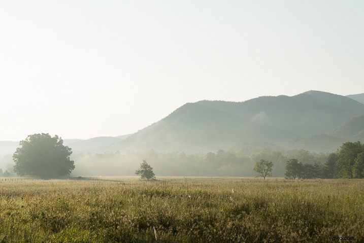 Ultimate Guide: How to Save, Stack, and Use Lightroom Presets Like a Pro