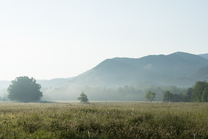 Ultimate Guide: How to Save, Stack, and Use Lightroom Presets Like a Pro