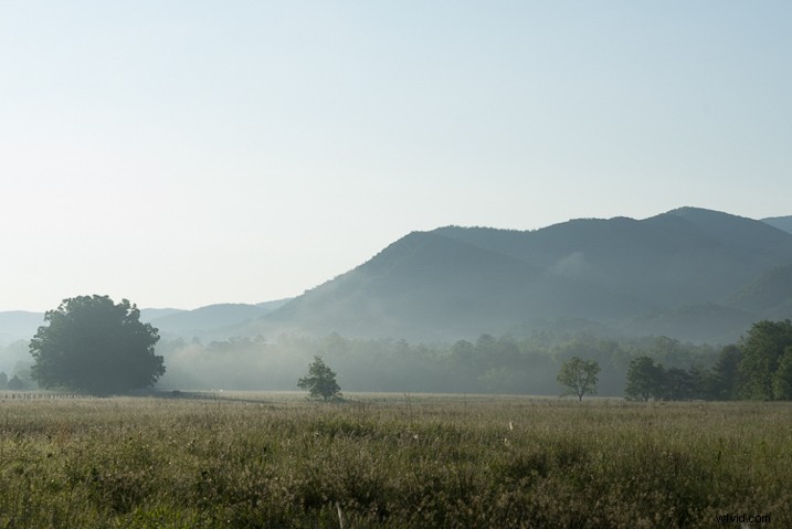 Ultimate Guide: How to Save, Stack, and Use Lightroom Presets Like a Pro