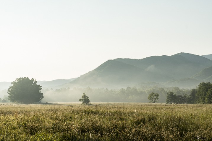 Ultimate Guide: How to Save, Stack, and Use Lightroom Presets Like a Pro