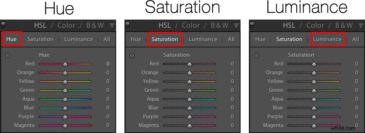 Master Lightroom s Adjustments Panel: Essential Tips for Beginners
