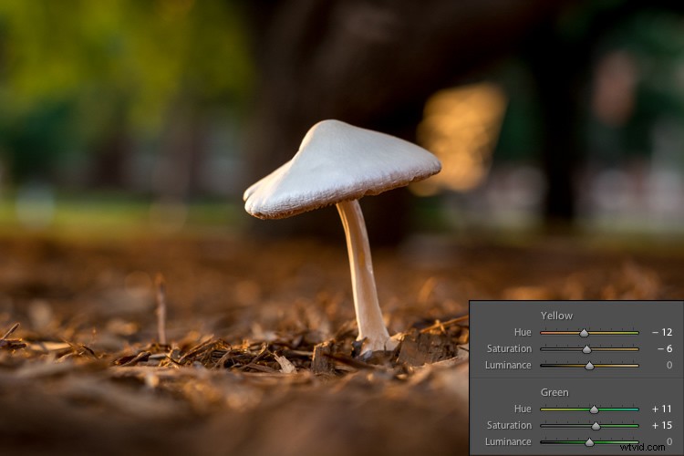 Master Lightroom s Adjustments Panel: Essential Tips for Beginners
