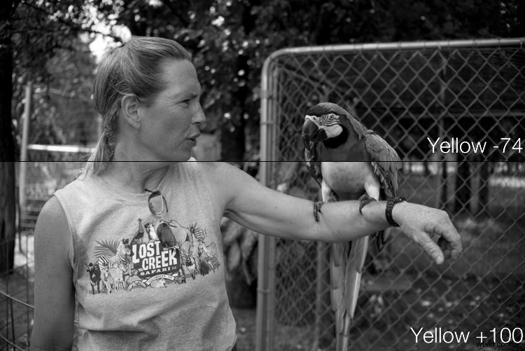 Master Lightroom s Adjustments Panel: Essential Tips for Beginners