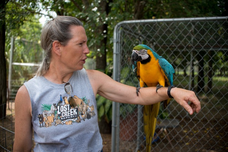 Master Lightroom s Adjustments Panel: Essential Tips for Beginners