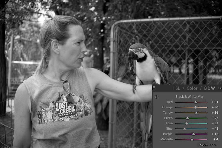 Master Lightroom s Adjustments Panel: Essential Tips for Beginners