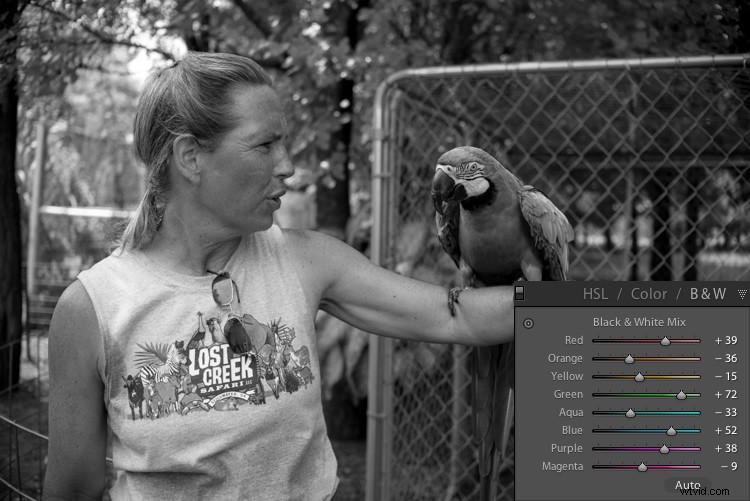 Master Lightroom s Adjustments Panel: Essential Tips for Beginners