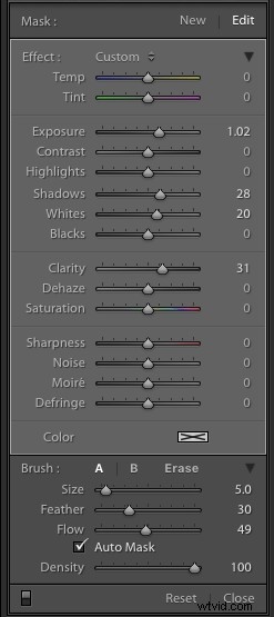 Master Lightroom s Adjustment Brush: Pro Techniques for Precision Photo Edits
