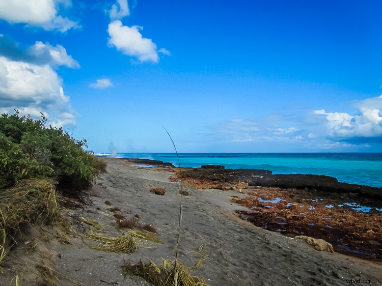 Master Lightroom s Transform & Crop Tools: Elevate Your Photo Composition