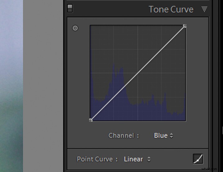 Recreate Authentic Analog Film Looks in Lightroom: Step-by-Step Guide