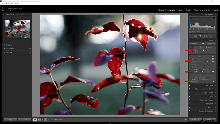 Recreate Authentic Analog Film Looks in Lightroom: Step-by-Step Guide