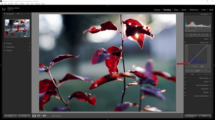 Recreate Authentic Analog Film Looks in Lightroom: Step-by-Step Guide