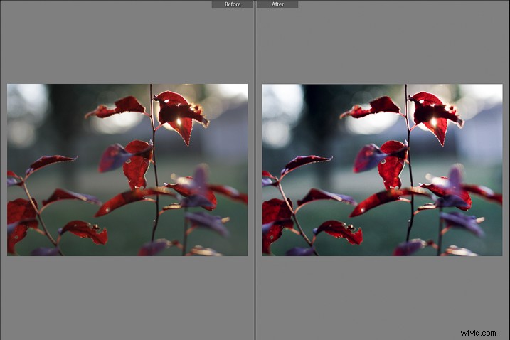 Recreate Authentic Analog Film Looks in Lightroom: Step-by-Step Guide