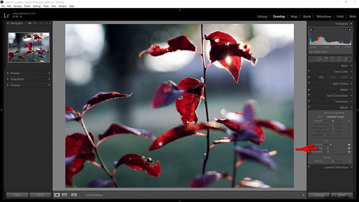 Recreate Authentic Analog Film Looks in Lightroom: Step-by-Step Guide