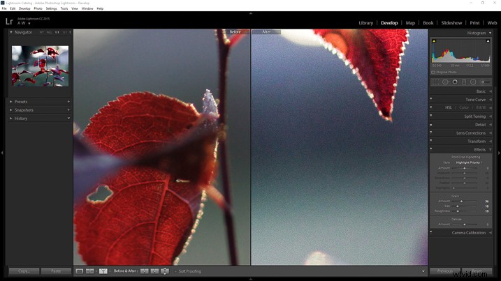 Recreate Authentic Analog Film Looks in Lightroom: Step-by-Step Guide