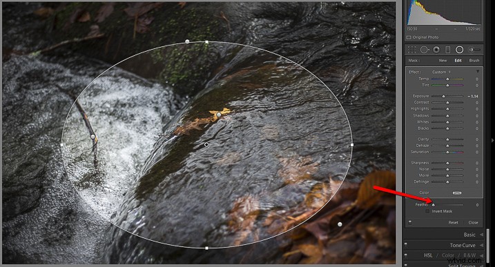 Mastering Lightroom s Radial Filter: Creative Editing Techniques