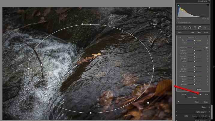 Mastering Lightroom s Radial Filter: Creative Editing Techniques