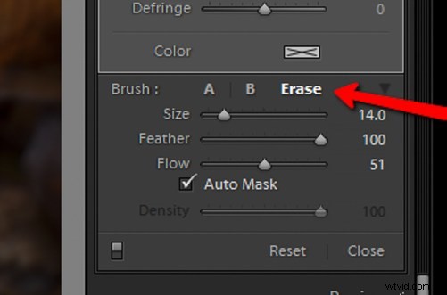 Mastering Lightroom s Radial Filter: Creative Editing Techniques