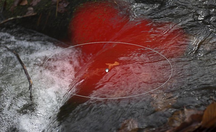 Mastering Lightroom s Radial Filter: Creative Editing Techniques