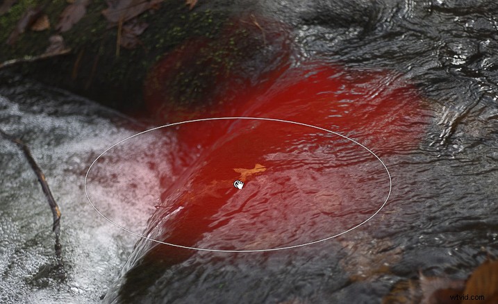 Mastering Lightroom s Radial Filter: Creative Editing Techniques