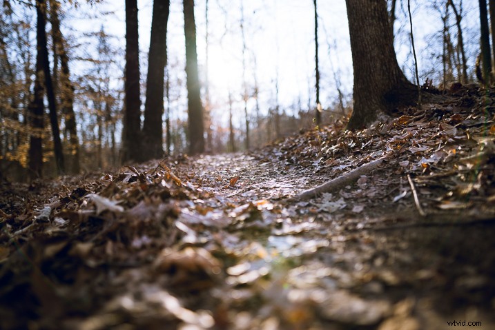 Mastering Lightroom s Radial Filter: Creative Editing Techniques