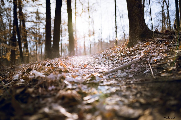 Mastering Lightroom s Radial Filter: Creative Editing Techniques