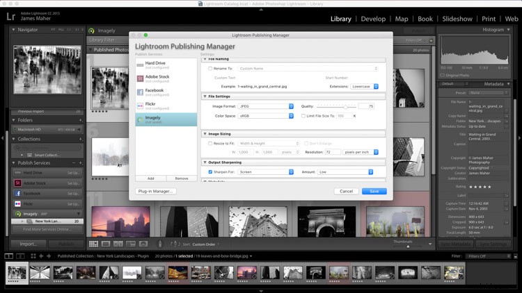 Discover Imagely s New NextGEN Lightroom Plugin for WordPress Photographers