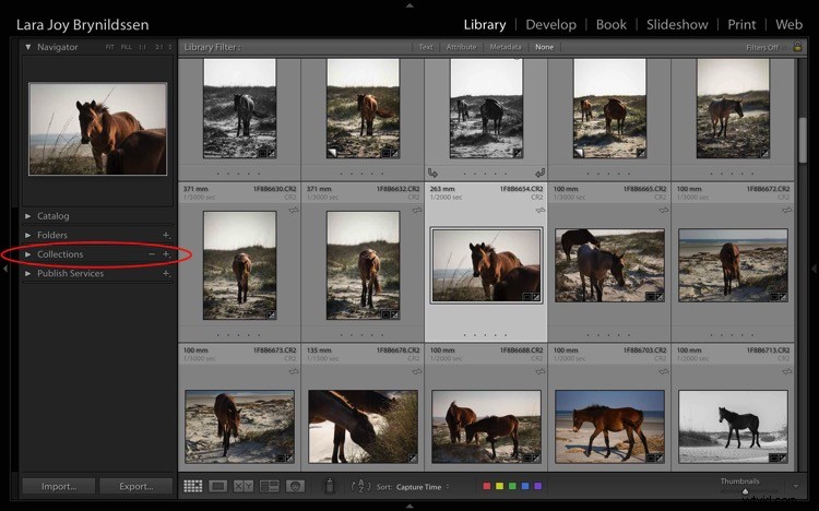 4 Key Advantages of Lightroom Collections: Streamline Your Photo Workflow
