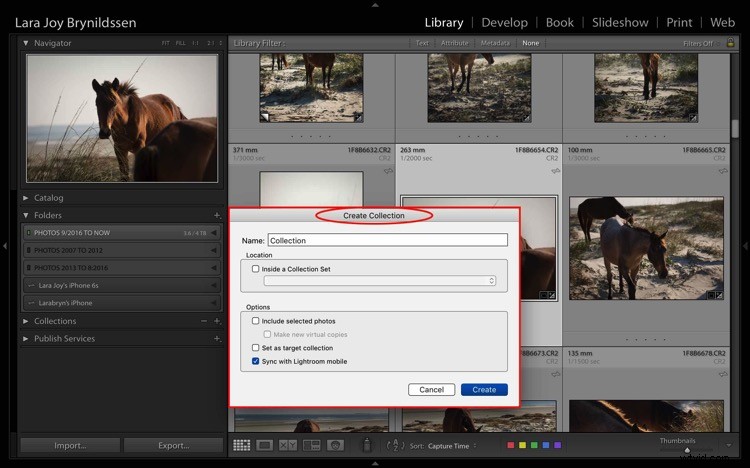 4 Key Advantages of Lightroom Collections: Streamline Your Photo Workflow