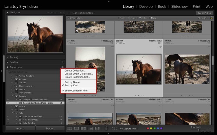 4 Key Advantages of Lightroom Collections: Streamline Your Photo Workflow