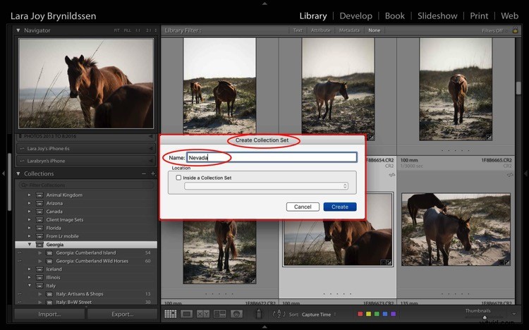 4 Key Advantages of Lightroom Collections: Streamline Your Photo Workflow