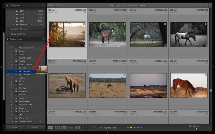 4 Key Advantages of Lightroom Collections: Streamline Your Photo Workflow