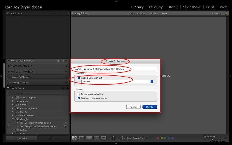 4 Key Advantages of Lightroom Collections: Streamline Your Photo Workflow