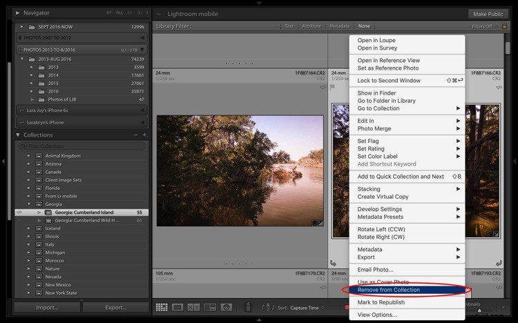 4 Key Advantages of Lightroom Collections: Streamline Your Photo Workflow