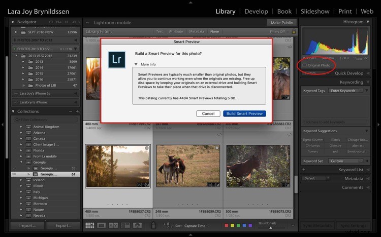 4 Key Advantages of Lightroom Collections: Streamline Your Photo Workflow