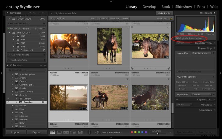 4 Key Advantages of Lightroom Collections: Streamline Your Photo Workflow